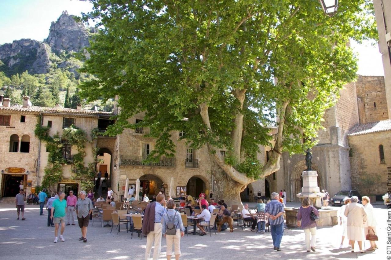 "Le Cocon"-Meuble De Tourisme 3 Etoiles -Residence "Les Logis De Beziers"-Garage Optionnel-Coeur De Ville-Plages A 16Km ! Zewnętrze zdjęcie